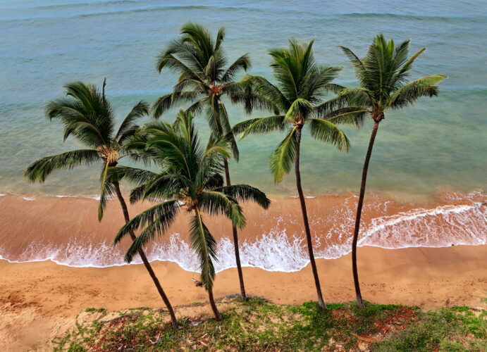 Send your best photos from Maui County to mauiphotos@mauinews.com for a chance to see them featured on our website and in our weekly print edition.  